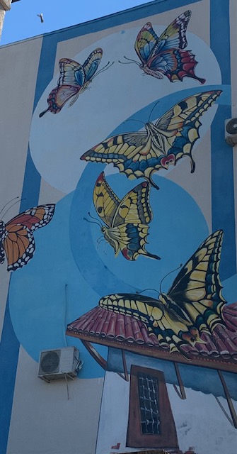 Les papillons du futur img 5405